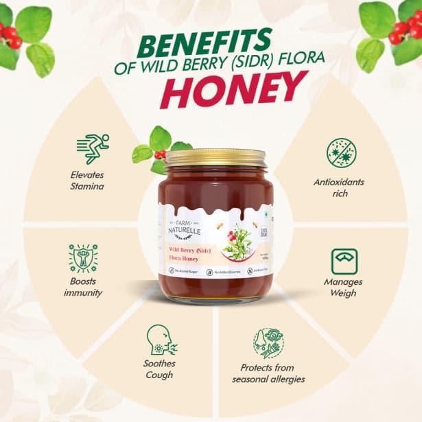 Berry Flora HoneyWild Berry Forest Honey | 100% Pure and Natural | Unprocessed | Highly Nutritious | Rich in Antioxidants | No Artificial Color & Sugar - Farm Naturelle