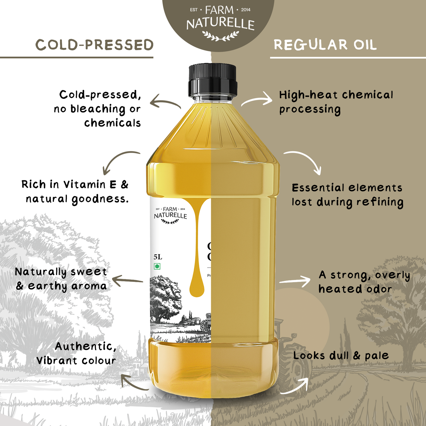 Cold Pressed Groundnut Oil – Pure & Natural for Cooking Oil