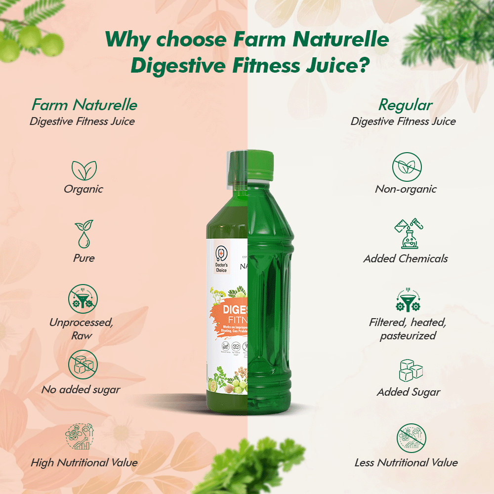 Digestive Fitness Juice - Ayurvedic Formula for Gut Health