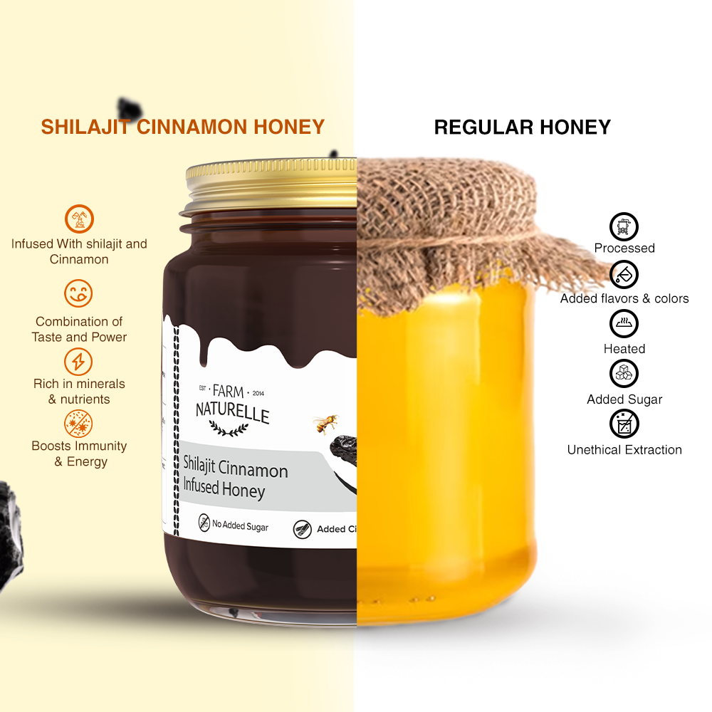 Shilajit Honey - Natural Boost for Strength and Stamina, 55g Jar