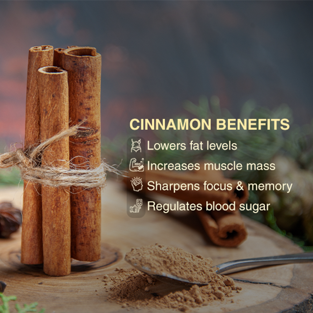 Pure Himalayan Shilajit Resin + 55g Free – Cinnamon Honey for Natural Health