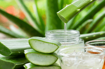 How to Use Aloe Vera Juice and Its Benefits - Farm Naturelle 