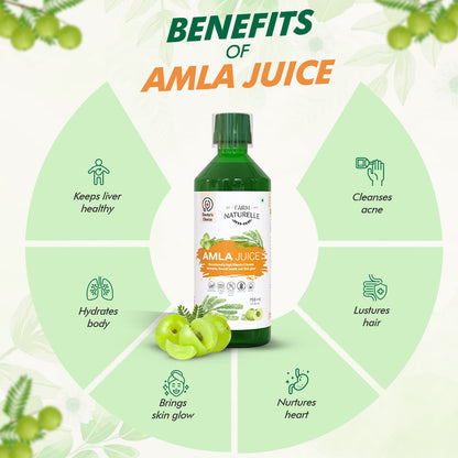 Amla Juice – Pure and Herbal for Overall Health