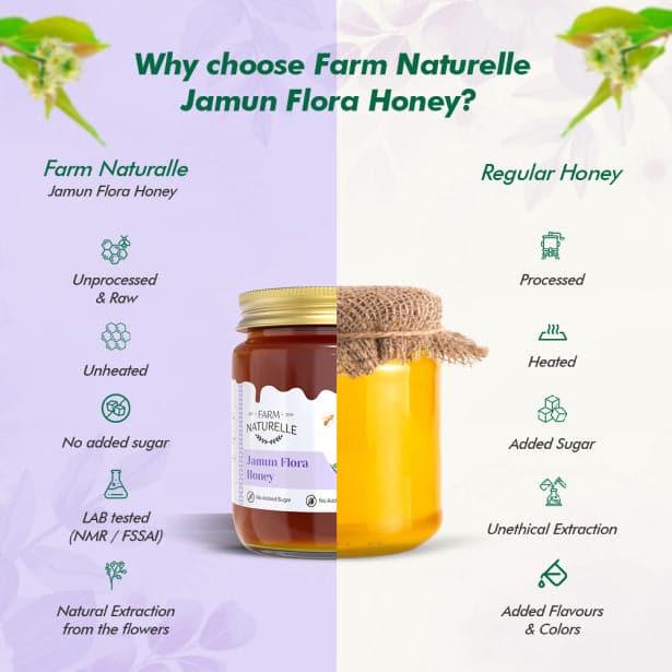 Jamun Flower Wild Forest Honey | 100% Pure Honey Extra and a Wooden Spoon| Raw Natural Unprocessed Honey - Un-heated Honey | Lab Tested Honey - Farm Naturelle 