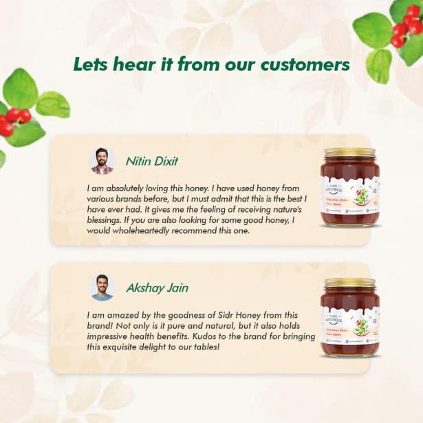 Berry Flora HoneyWild Berry Forest Honey | 100% Pure and Natural | Unprocessed | Highly Nutritious | Rich in Antioxidants | No Artificial Color & Sugar - Farm Naturelle 