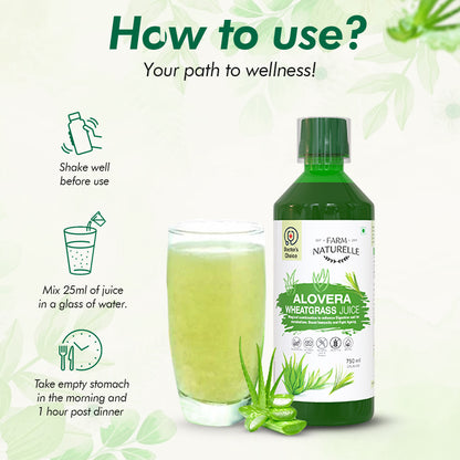 Aloe Vera Wheatgrass Juice – Extra Fiber in Gel Form