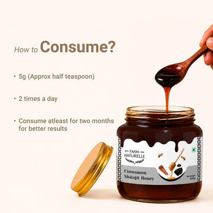Farm Naturelle Cinnamon Shilajit Honey 400g