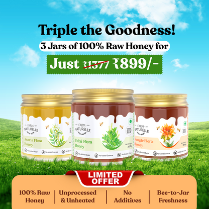 Honey Value Combo – Raw Acacia, Tulsi, and Jungle Honey Trio